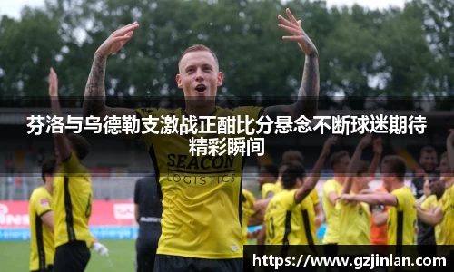OE欧亿