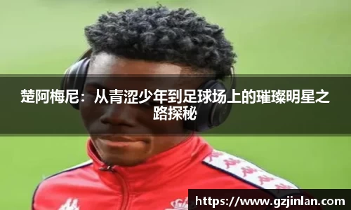 OE欧亿官网